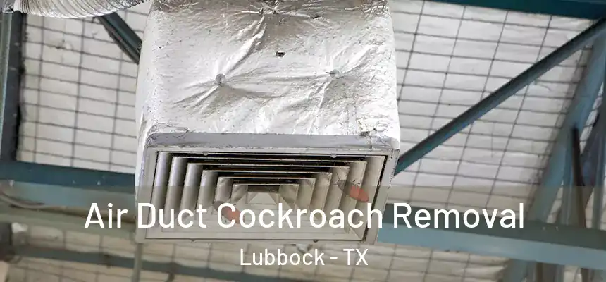 Air Duct Cockroach Removal Lubbock - TX