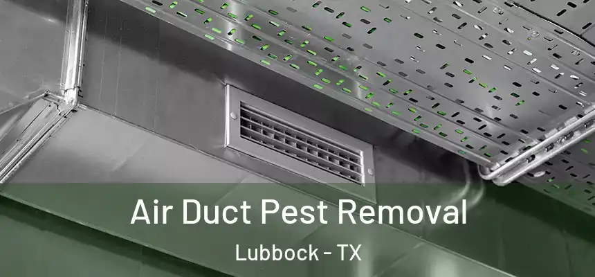  Air Duct Pest Removal Lubbock - TX