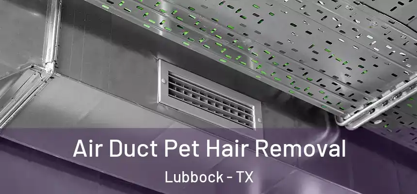  Air Duct Pet Hair Removal Lubbock - TX