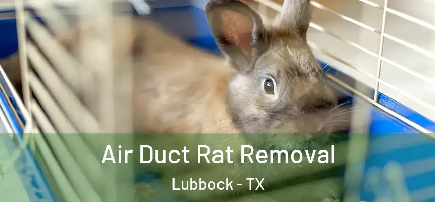  Air Duct Rat Removal Lubbock - TX