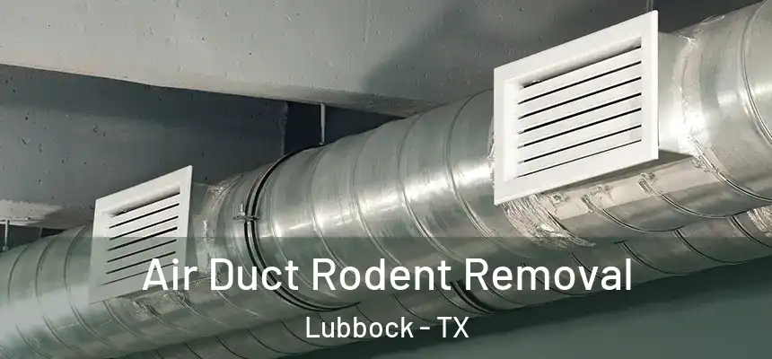  Air Duct Rodent Removal Lubbock - TX