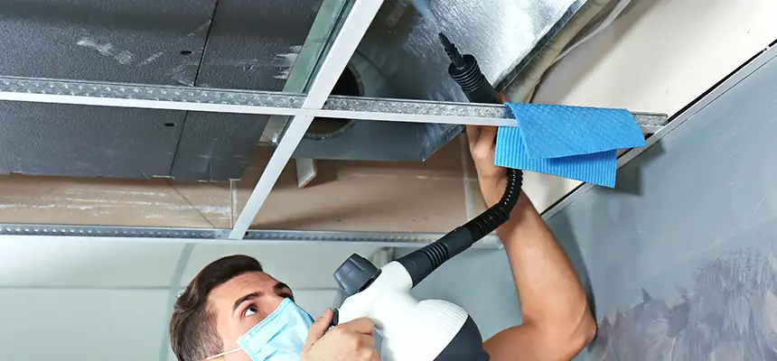 Our Air Duct Rodent Removal Services in Lubbock, TX