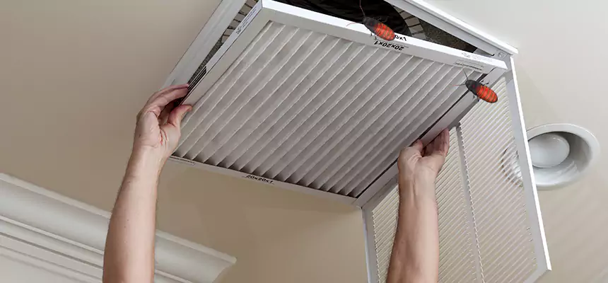 Our Insect Removal from Air Ducts Services in Lubbock, TX