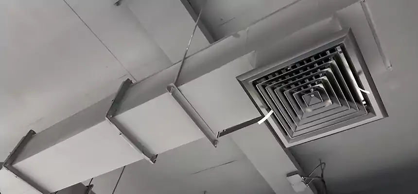 Our Rodent Droppings In Vents Services in Lubbock, TX