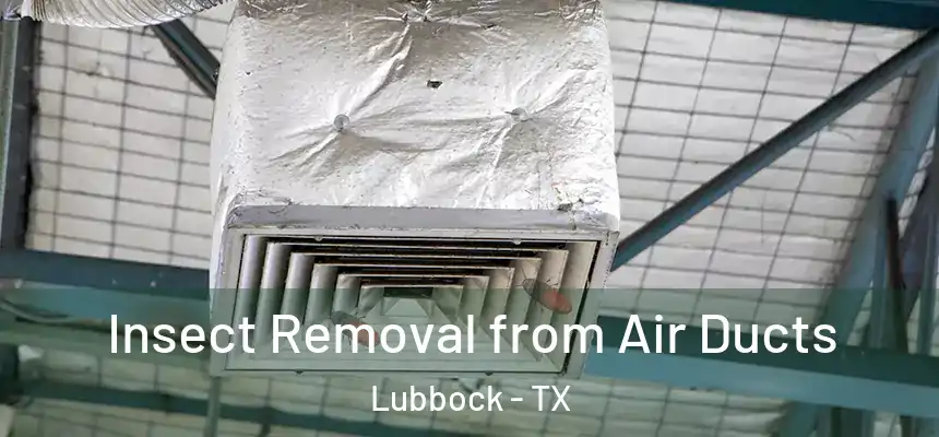Insect Removal from Air Ducts Lubbock - TX