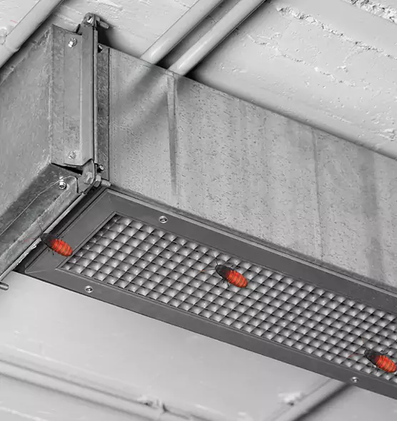 Affordable Insect Removal from Air Ducts in Lubbock, TX