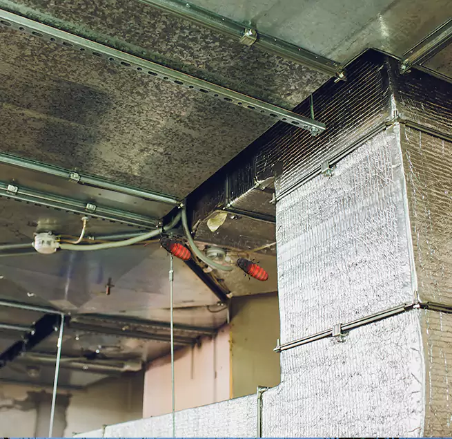 Why Homeowners & Businesses Trust Us in Lubbock, TX?