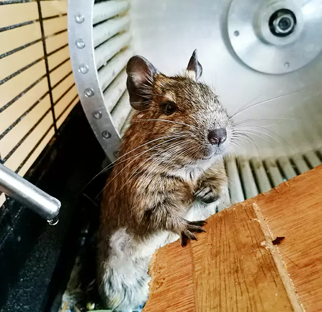 Why Homeowners & Businesses Trust Us Lubbock, TX